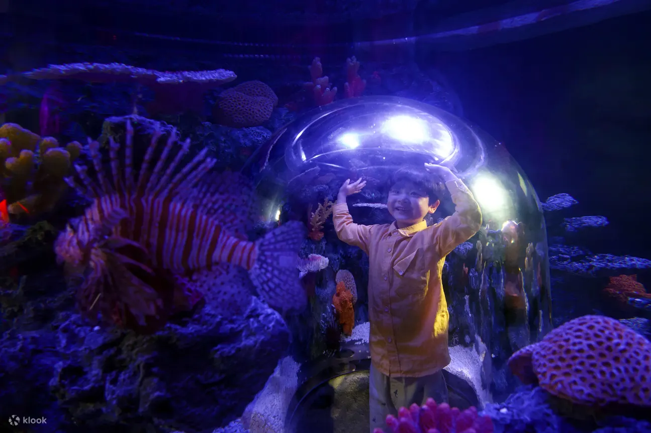 Coex Aquarium Admission Ticket in Seoul