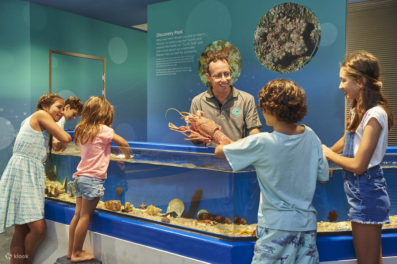 Билет в Dolphin Discovery Centre в Банбери