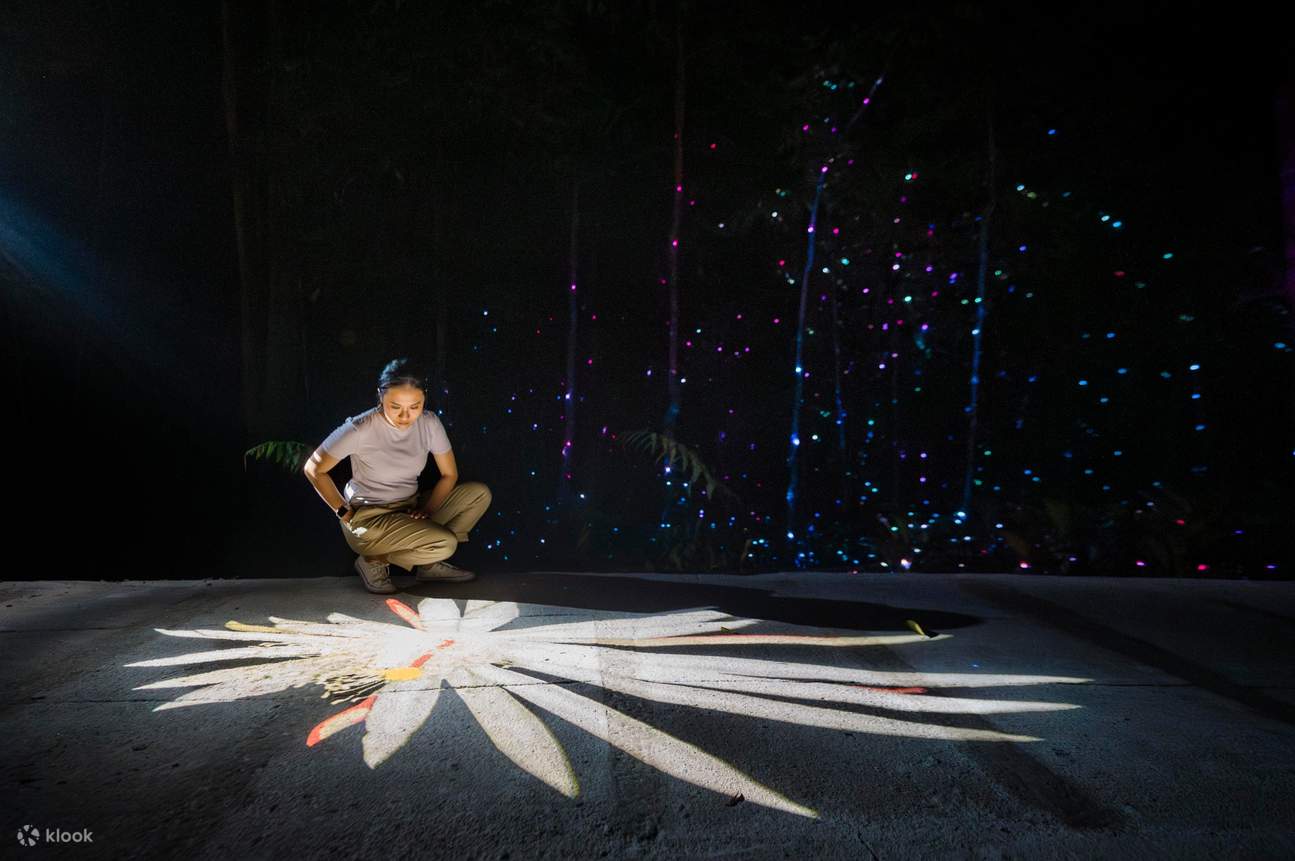 드림 포레스트 랑카위 비주얼 체험