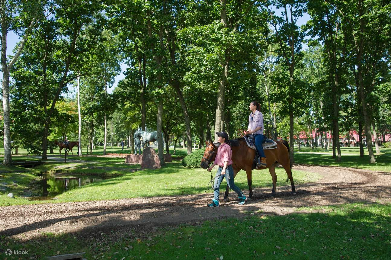 ノーザンホースパーク・入園チケット＆引馬セット券（北海道 千歳 