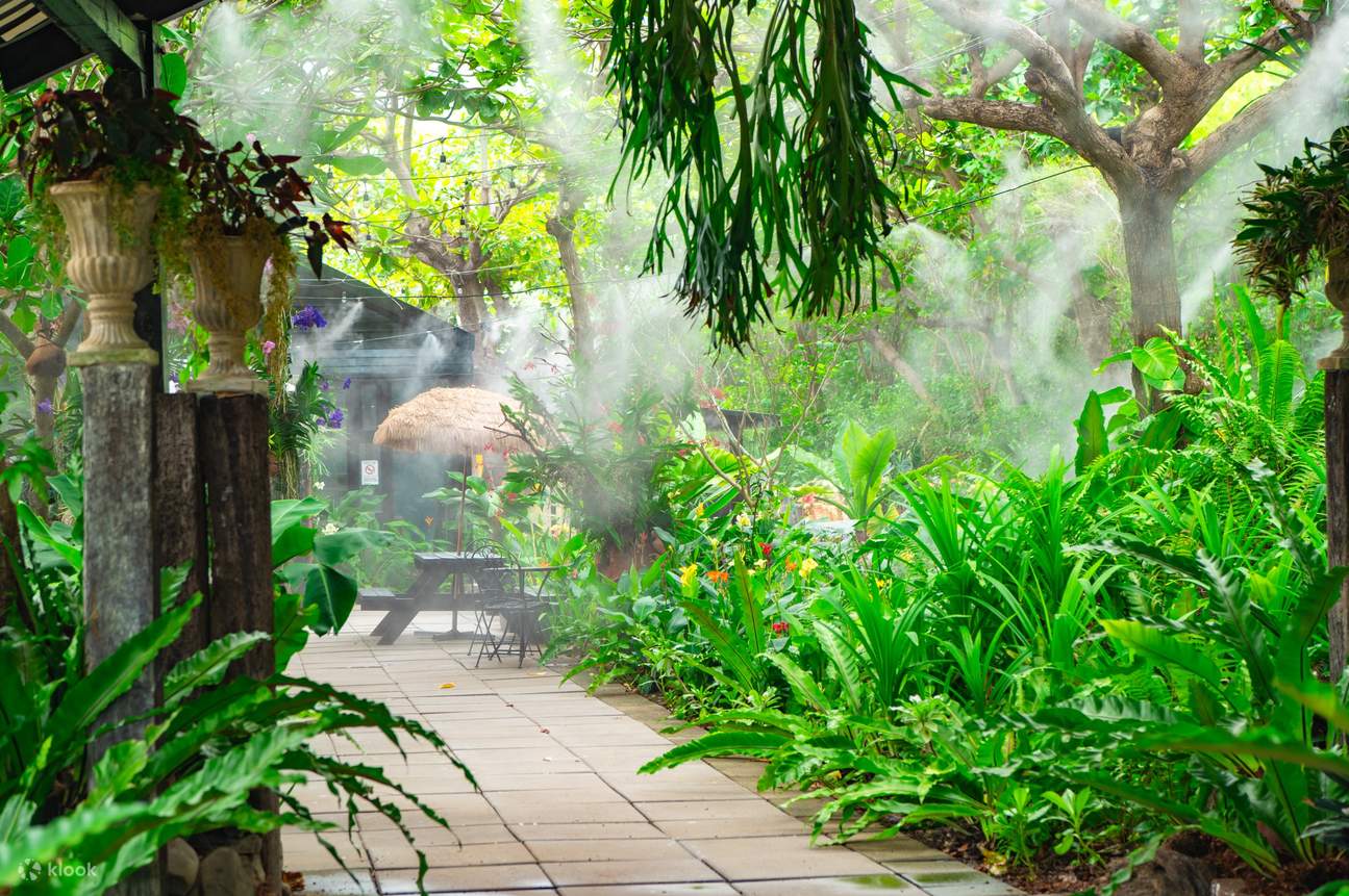 Ferme de chocolat Pingtung A Shin : Billets, ateliers DIY, et observation nocturne des cerfs Sika