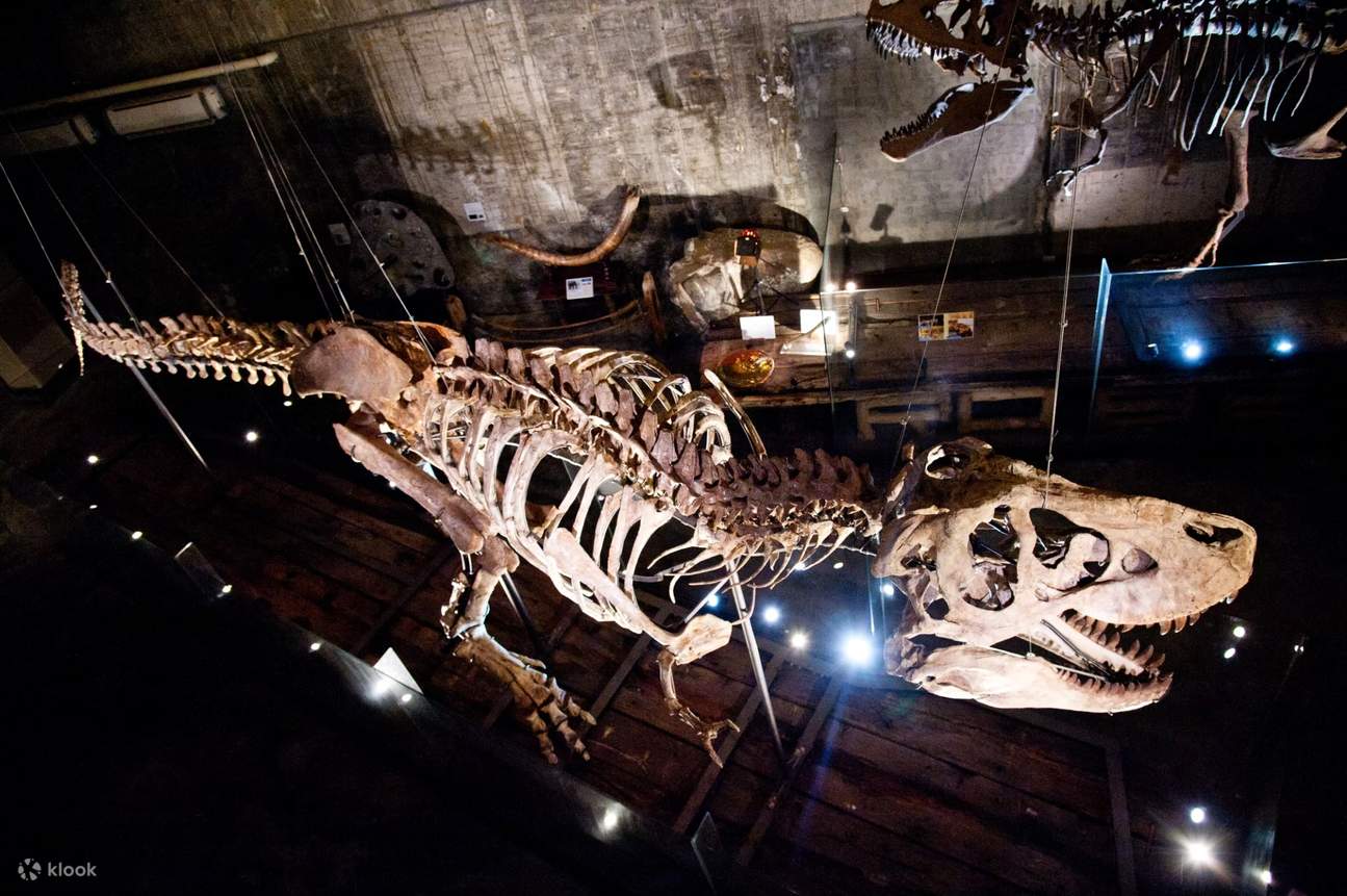 Tiket Masuk Robert Y Kota Seni Impian Gila - Runtuhan