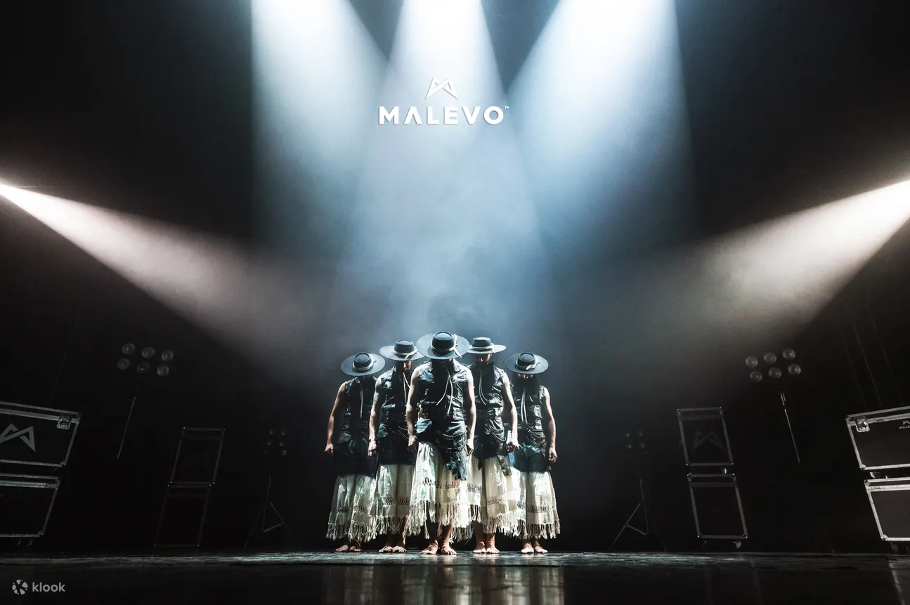 【深圳站】阿根廷MALEVO舞团·烈焰之巅