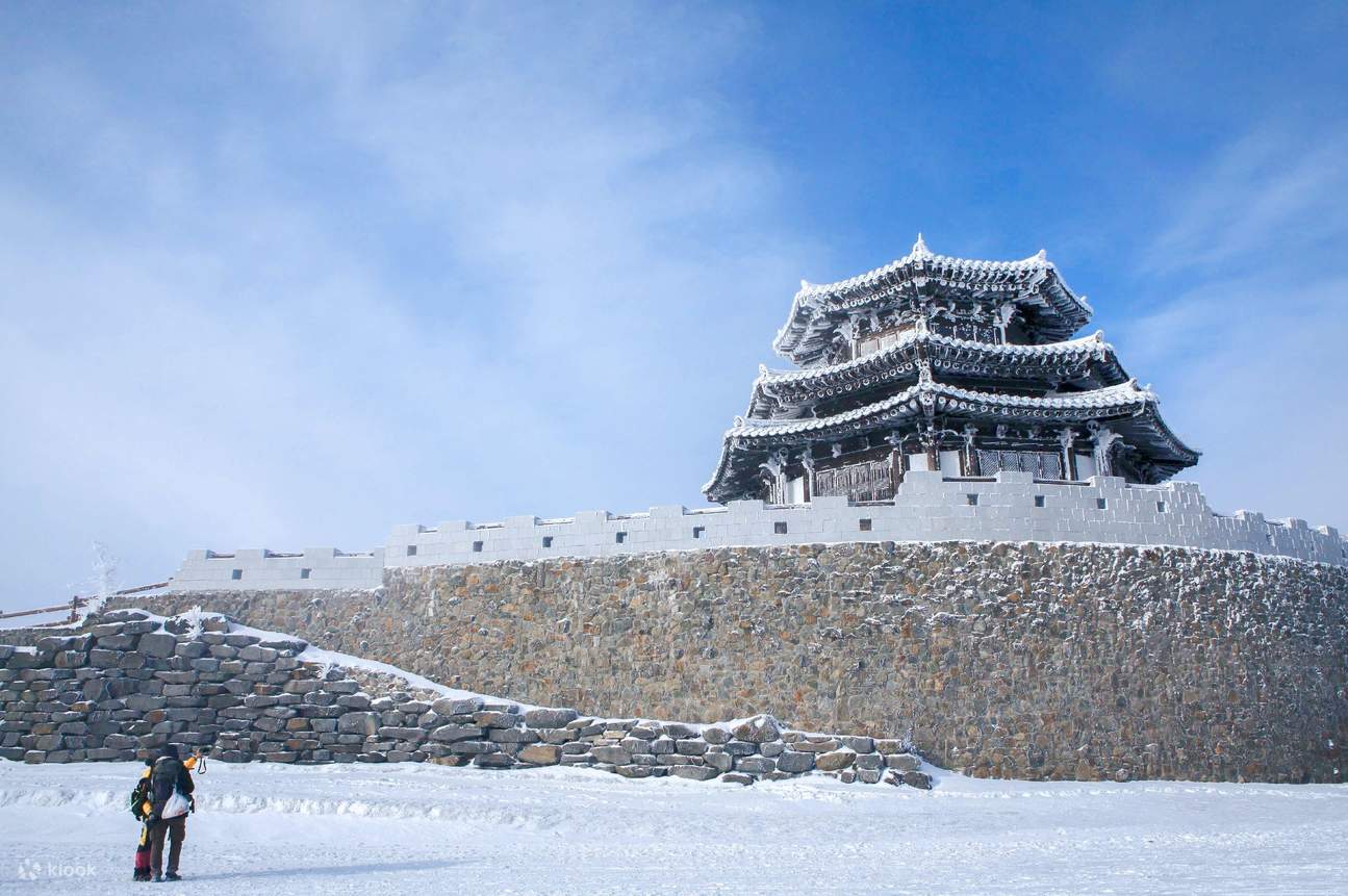Cherry Blossom Suwon Hwaseong Fortress Tour from Seoul - Klook