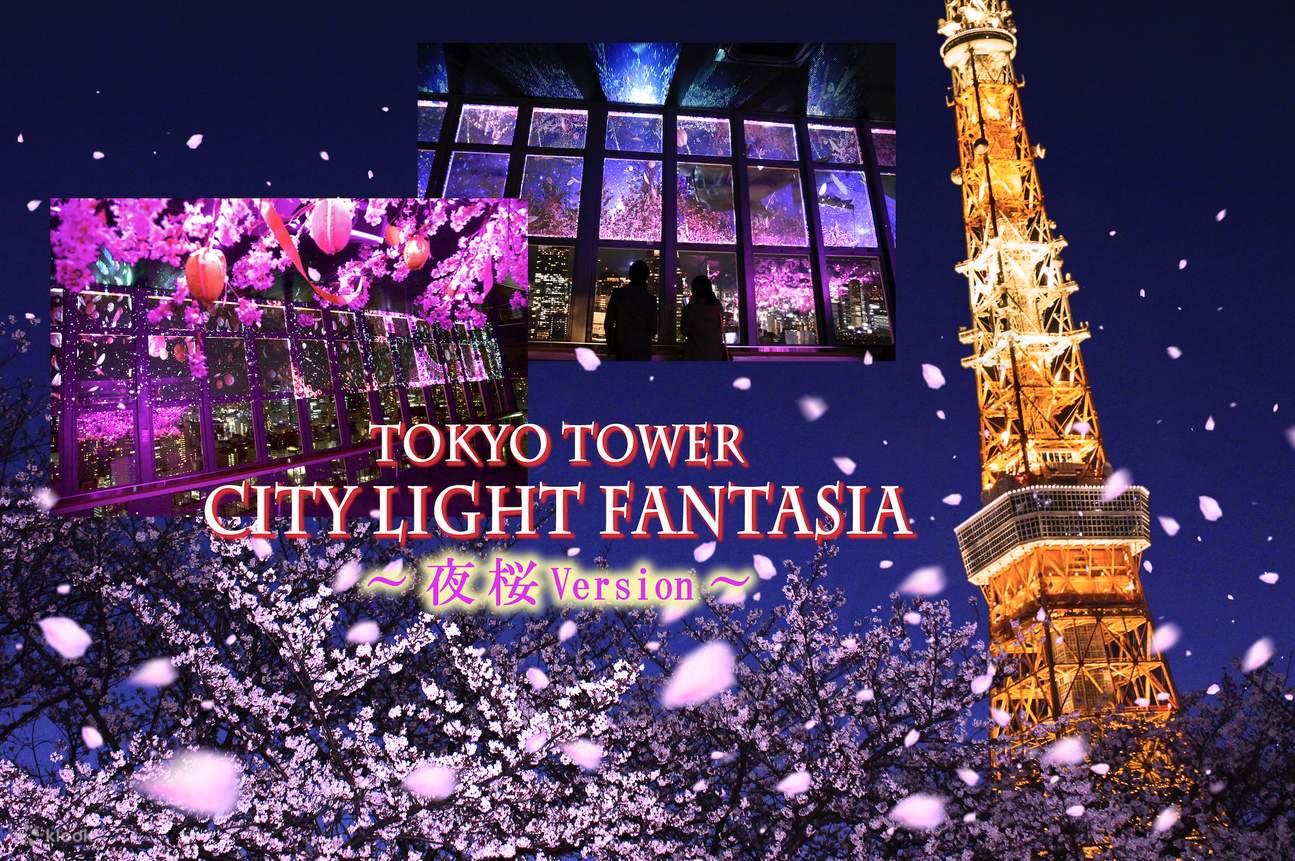 tokion-tornin-lippu-klook-suomi