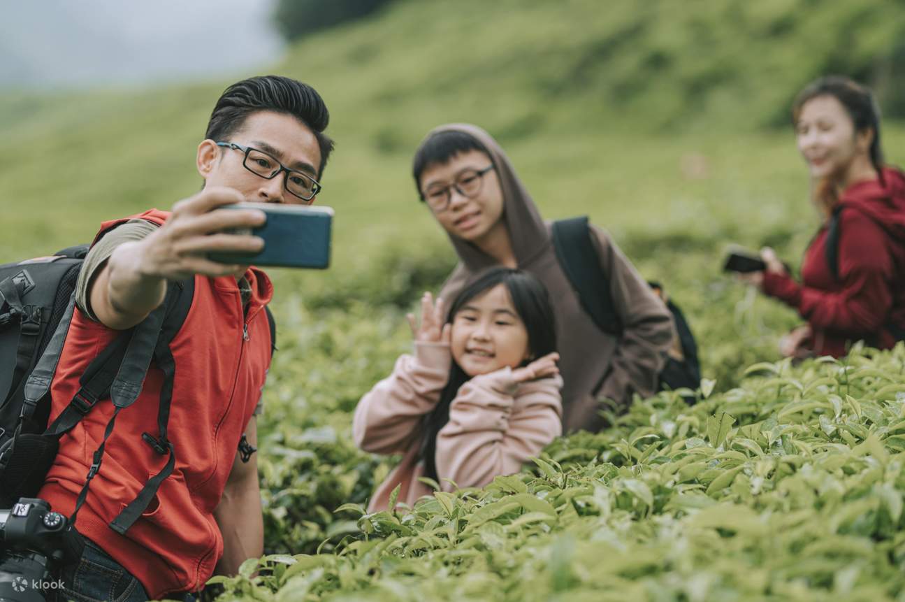 3D2N Cameron Highlands Tour From Singapore Klook Singapore 3d2n-cameron-highlands-tour-from-singapore-klook-singapore