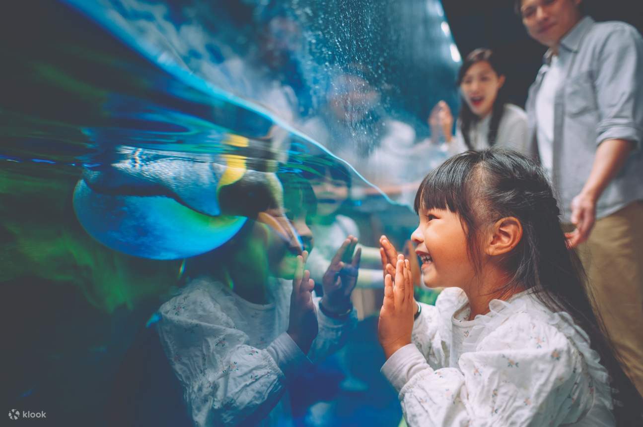 香港海洋公园企鹅