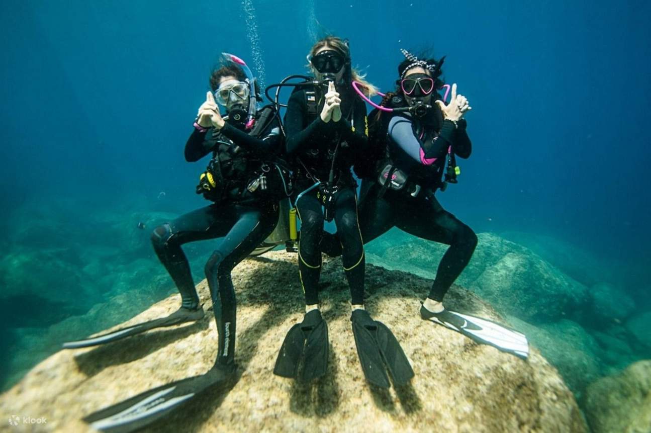 Professioneller Tauchboot-Ausflug mit Mittagessen & Transfer – Hurghada