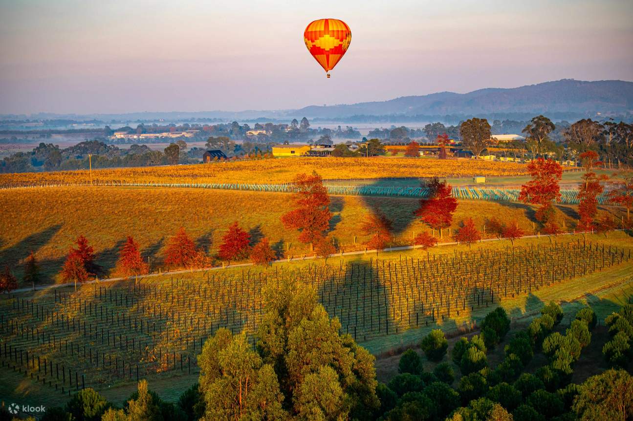 讓微風帶您沿著葡萄藤長廊，飛越亞拉河，沉浸於令人歎為觀止的山脈、葡萄園美景，甚至可能還會偶遇幾隻袋鼠！