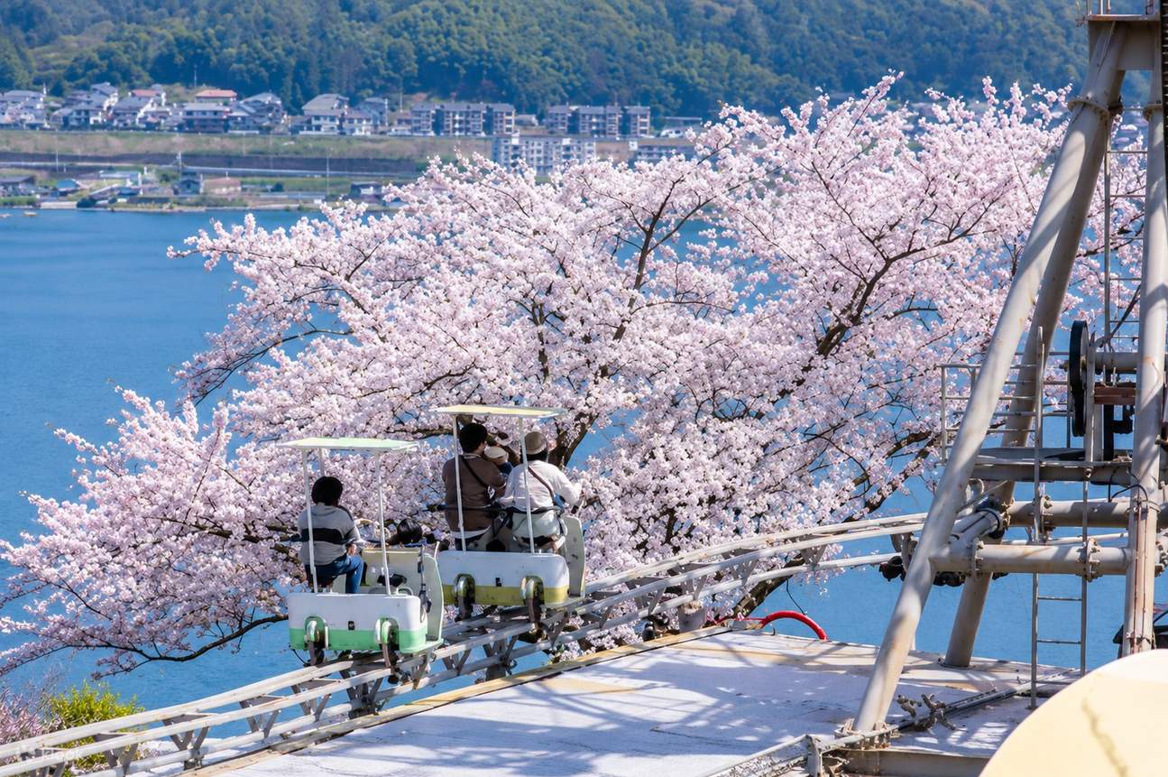 日本三景之天桥立&伊根舟屋&伊根湾美景欣赏一日游(大阪或京都出发) - Klook