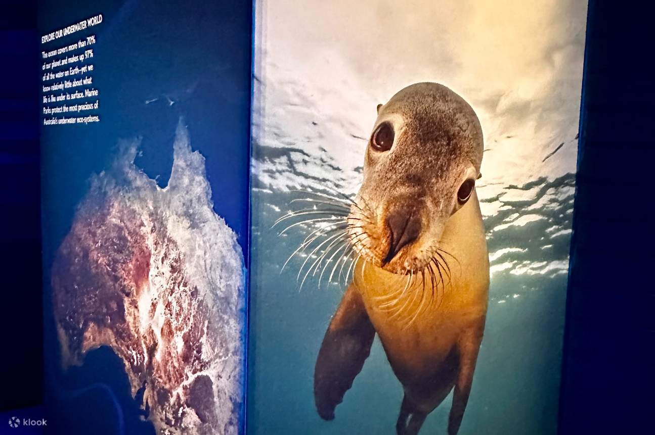 Vé Trung tâm khám phá biển Busselton Jetty