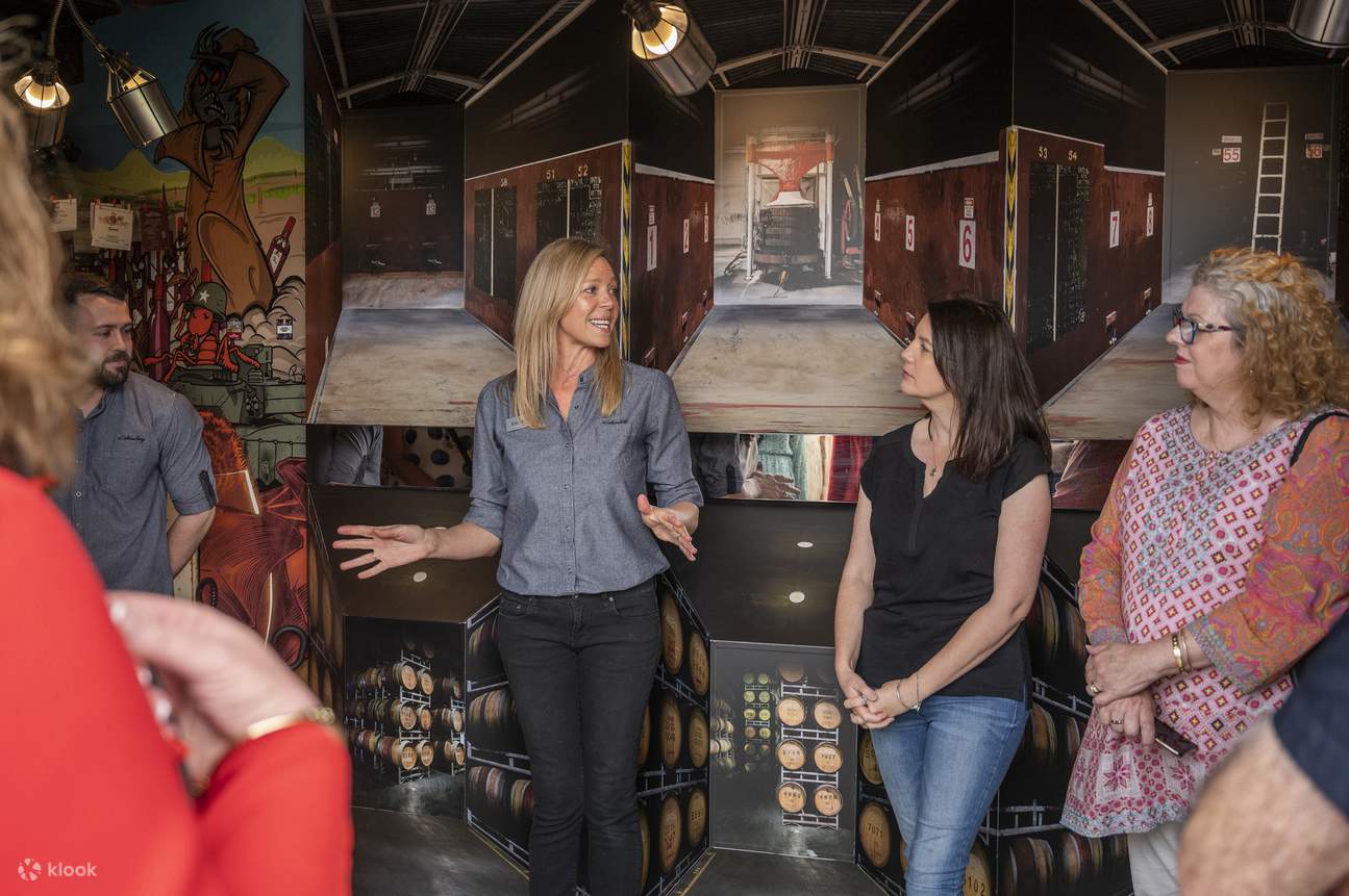 McLaren Vale and the Cube Experience Tour from Adelaide Klook