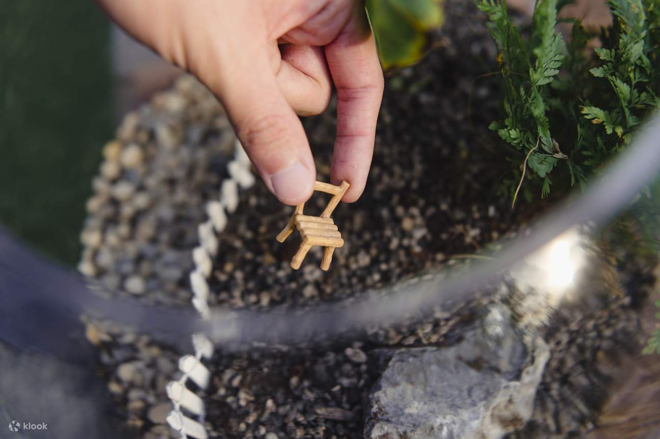 在The Sundowner參加大型生態瓶工作坊