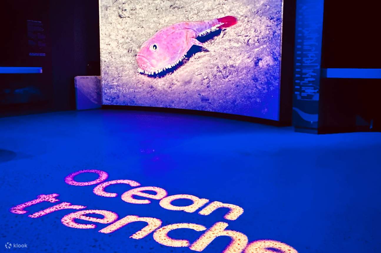 巴瑟尔顿栈桥海洋探索中心门票