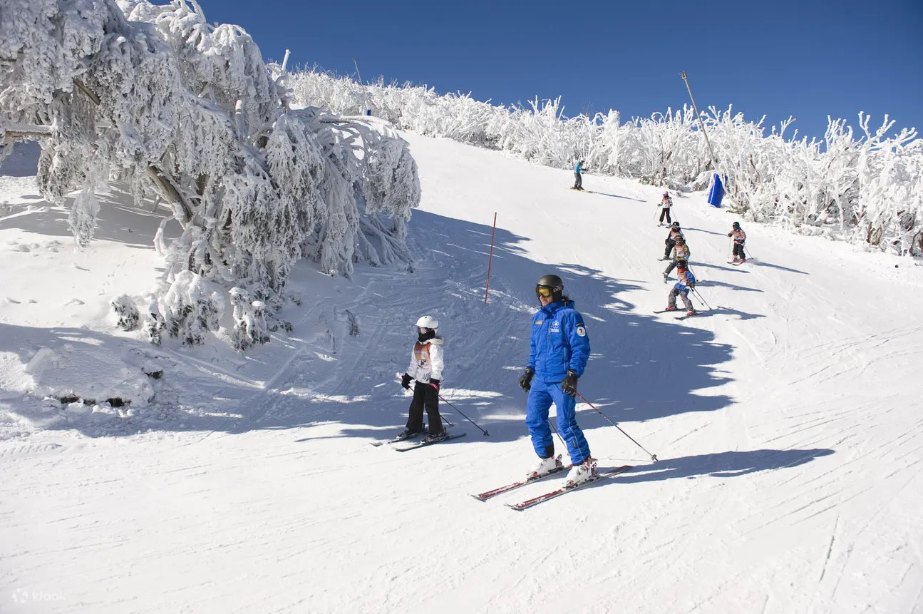 布勒山 (Mt Buller) 拥有一支世界一流的教练团队，可以帮助您安全地开始滑雪。