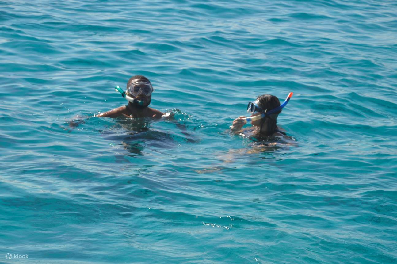 ทริปดำน้ำตื้นที่ Marsa Mubarak พร้อมบริการรับส่งและอาหารกลางวัน – Marsa Alam