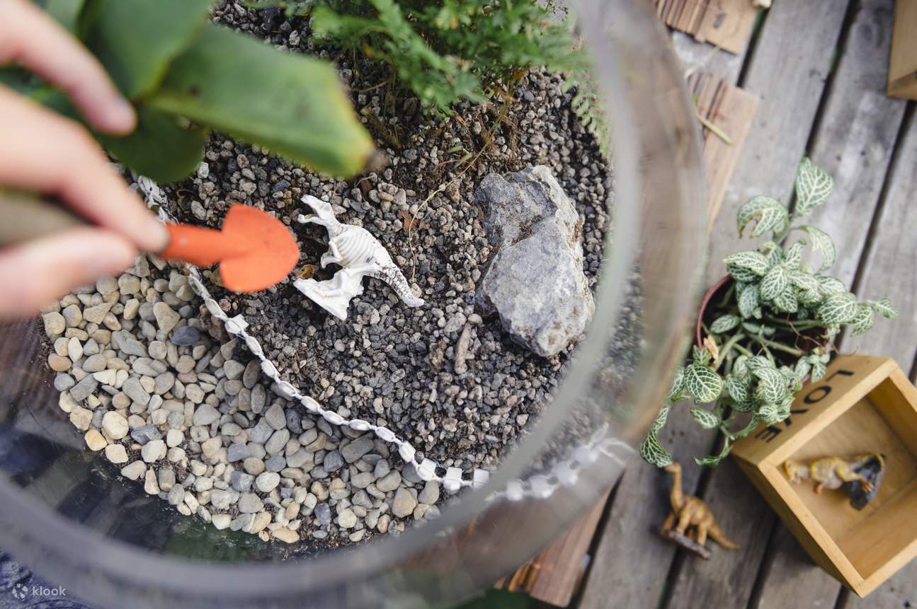 Cultivate your own little world with our XL globe terrarium