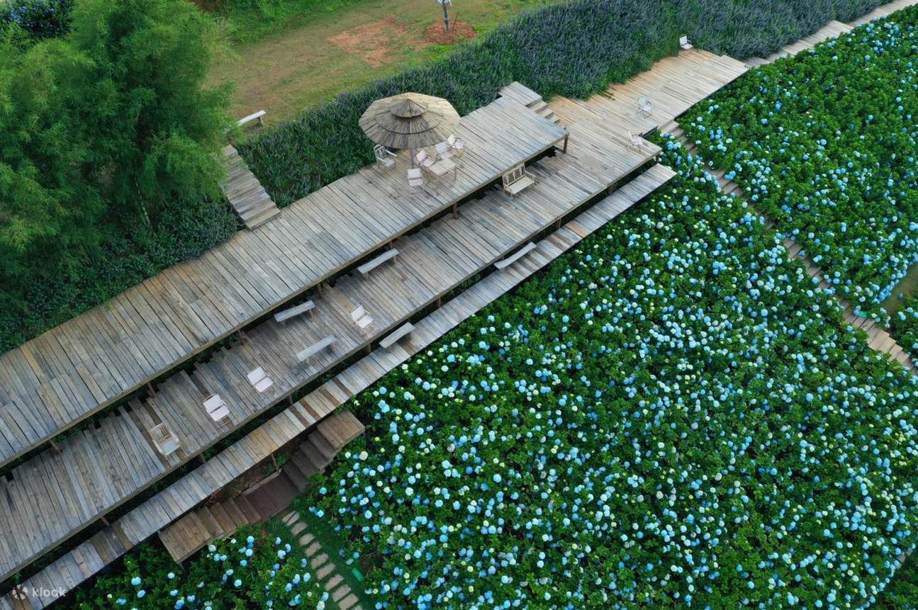 大叻The Florest门票