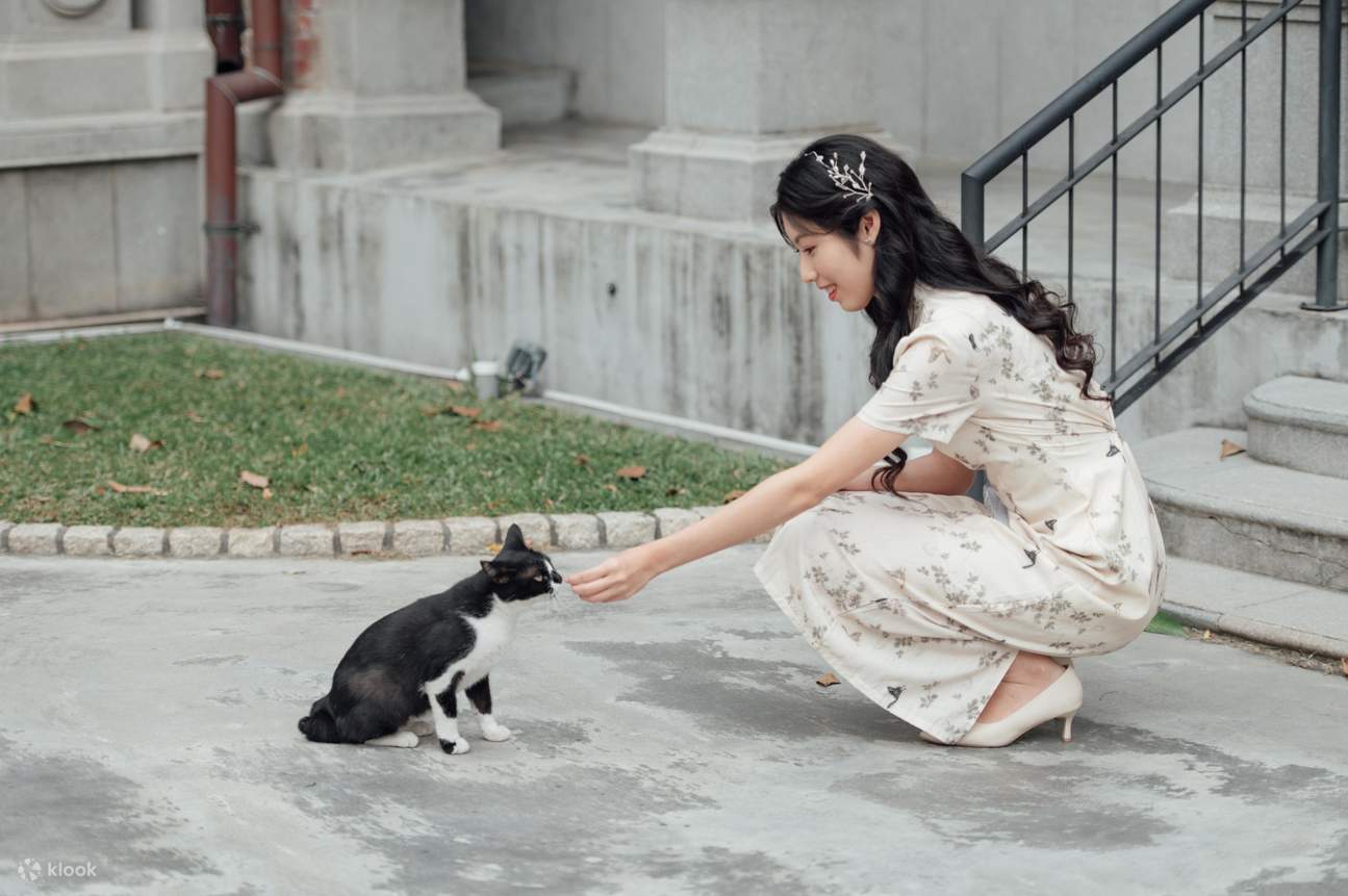 Kiu Kuei House est également un paradis pour les chats errants, si vous aimez les animaux, vous devez absolument venir.