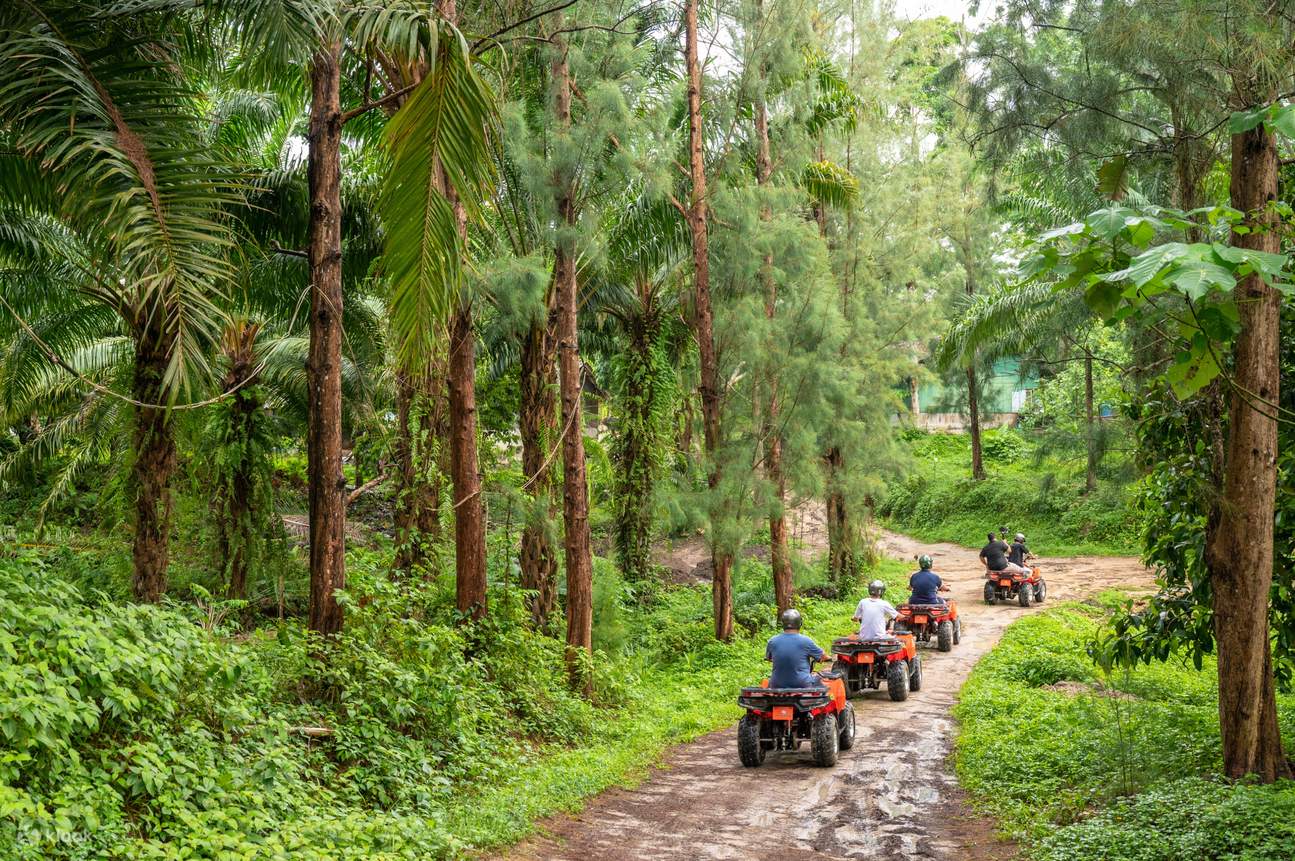 Toda la vegetación del bosque