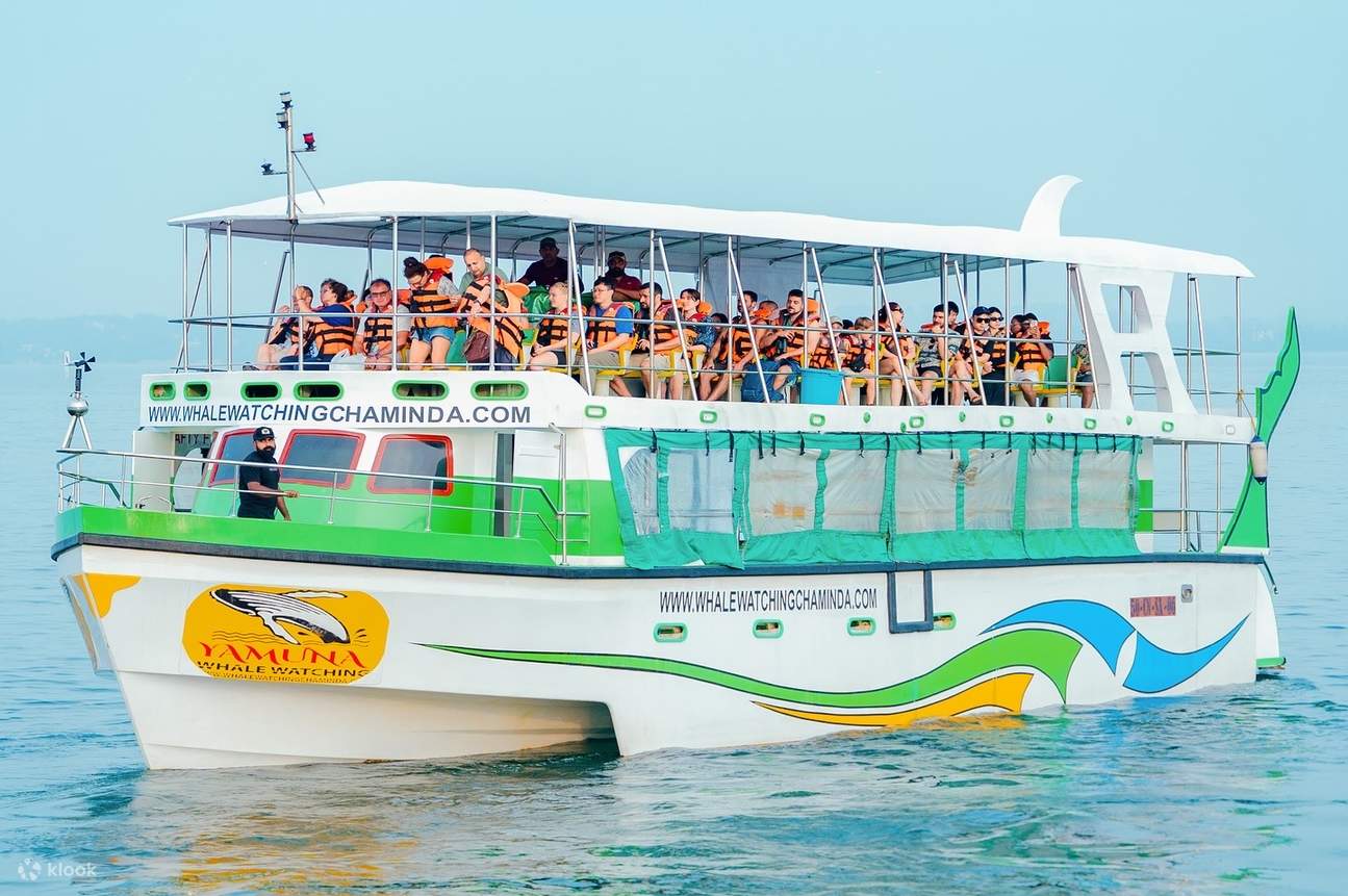 Walbeobachtung Mirissa mit Chaminda mit Frühstück & Abholung