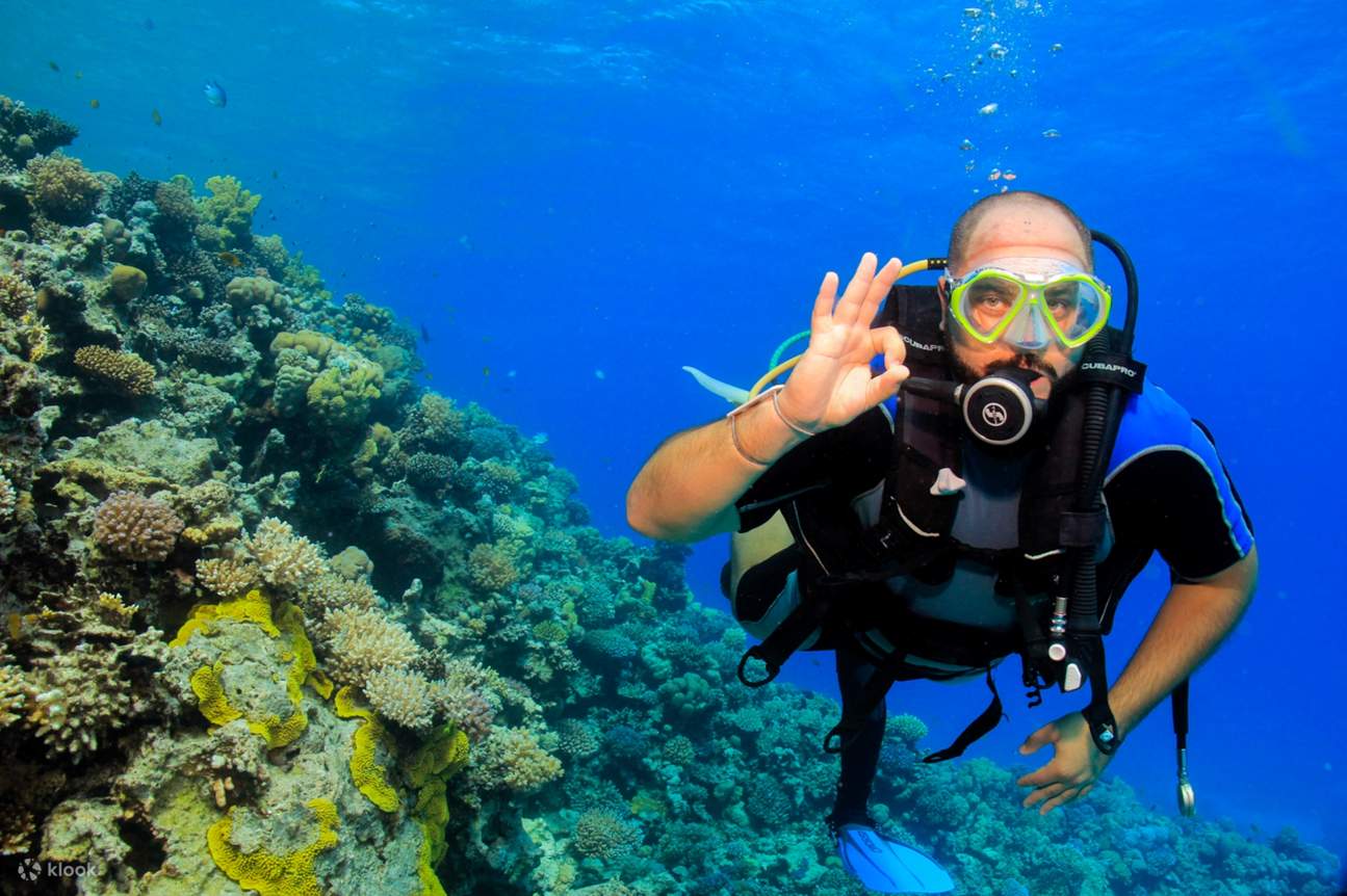  transfer를 포함한 전문 스쿠버 다이빙 종일 여행 – 후르가다