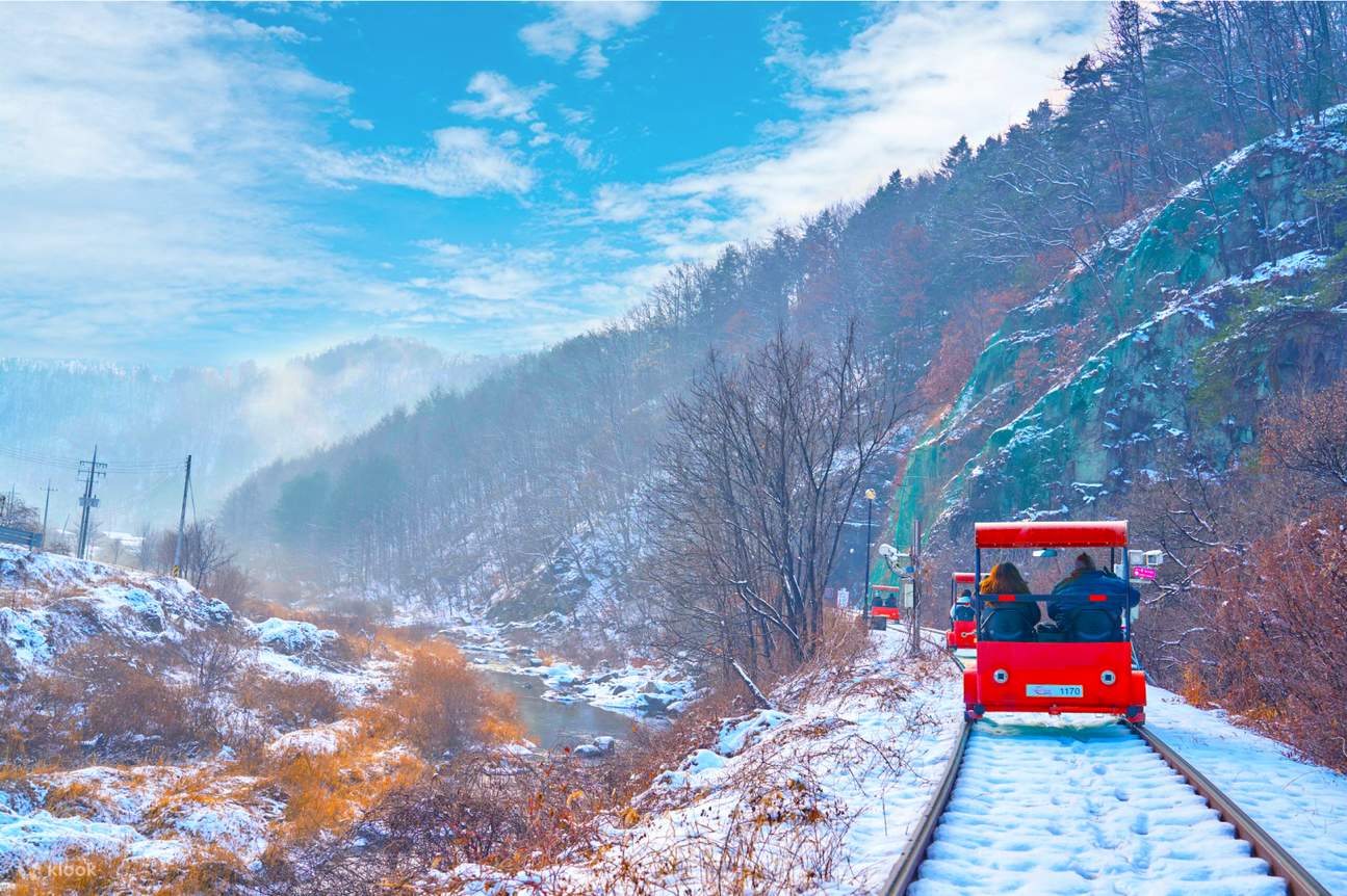 Nami Island and Garden of Morning Calm Lighting Festival Tour - Klook
