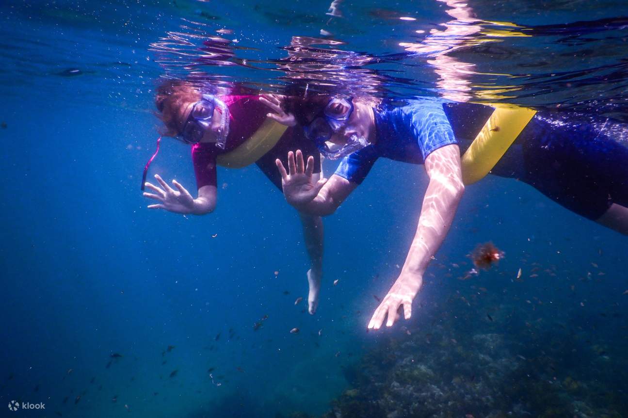 Sie können eine Schwimmhilfe benutzen, wenn Sie Unterstützung beim Schwimmen benötigen oder bequem schnorcheln möchten.