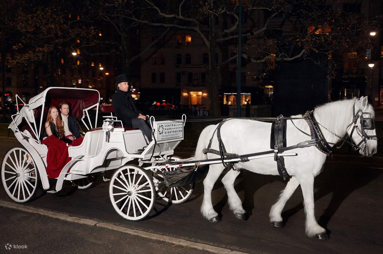 Central park shop sightseeing horse carriage