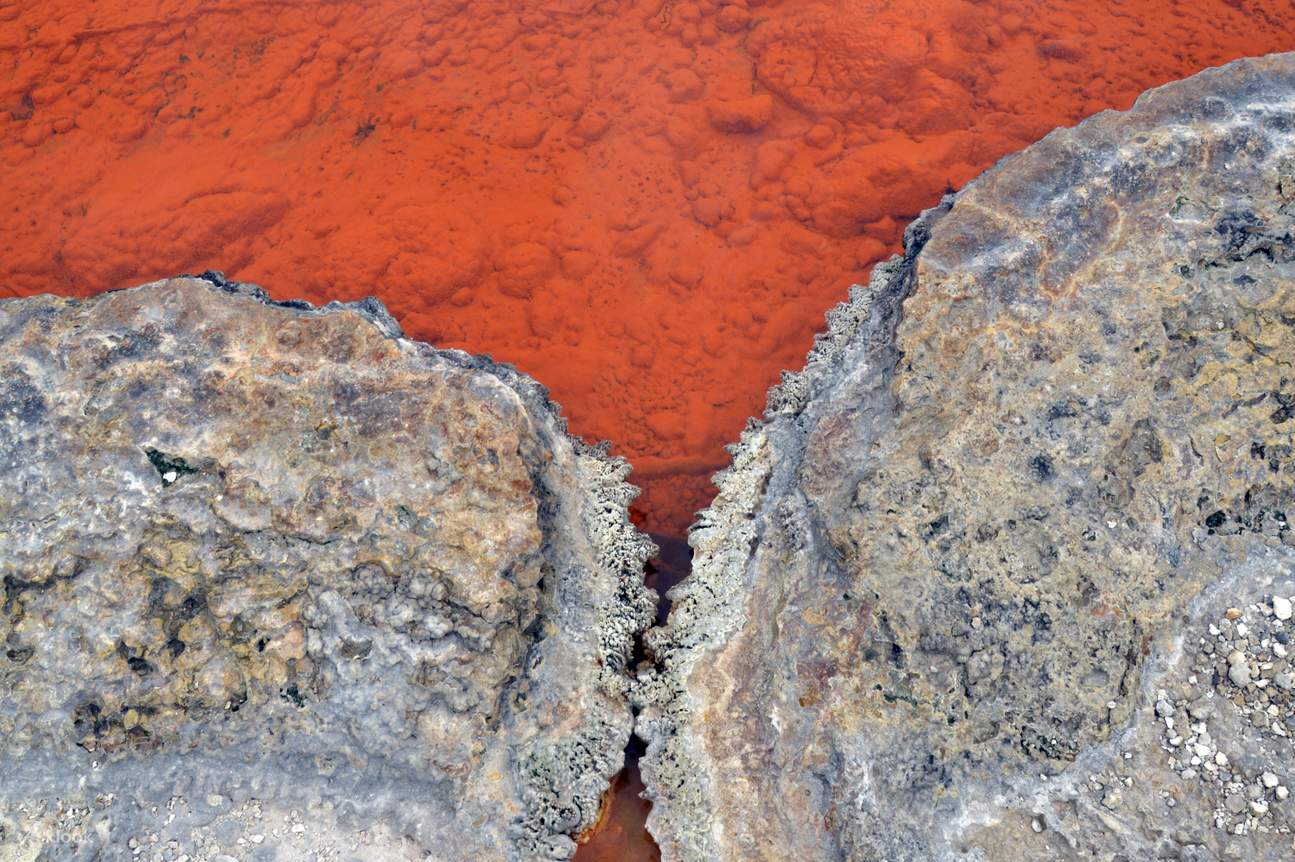 盡情欣賞香檳池 (Champagne Pool) 充滿活力的色彩和蒸氣騰騰的邊緣景觀