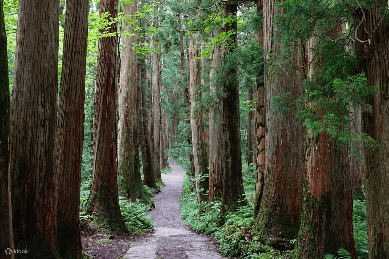 1日ツアー:長野戸隠神社、鏡池、ワイナリー、温泉 | Klook
