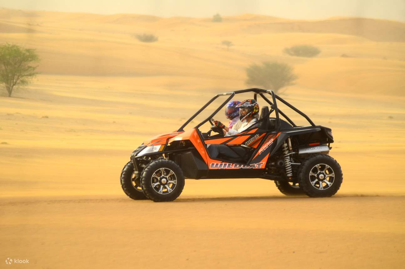 Wildcat dune buggy outlet
