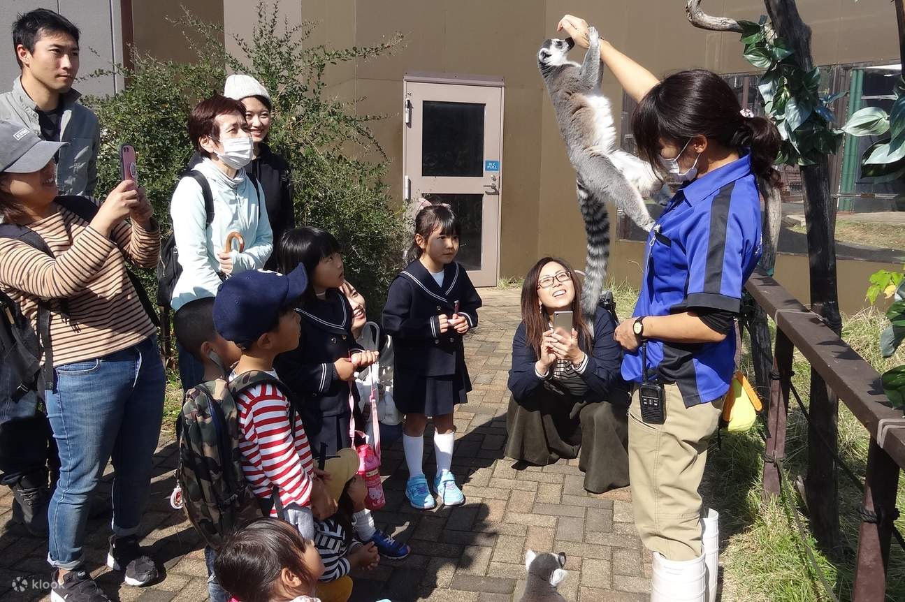 Ботанический сад Куджукусима Мори Кирара