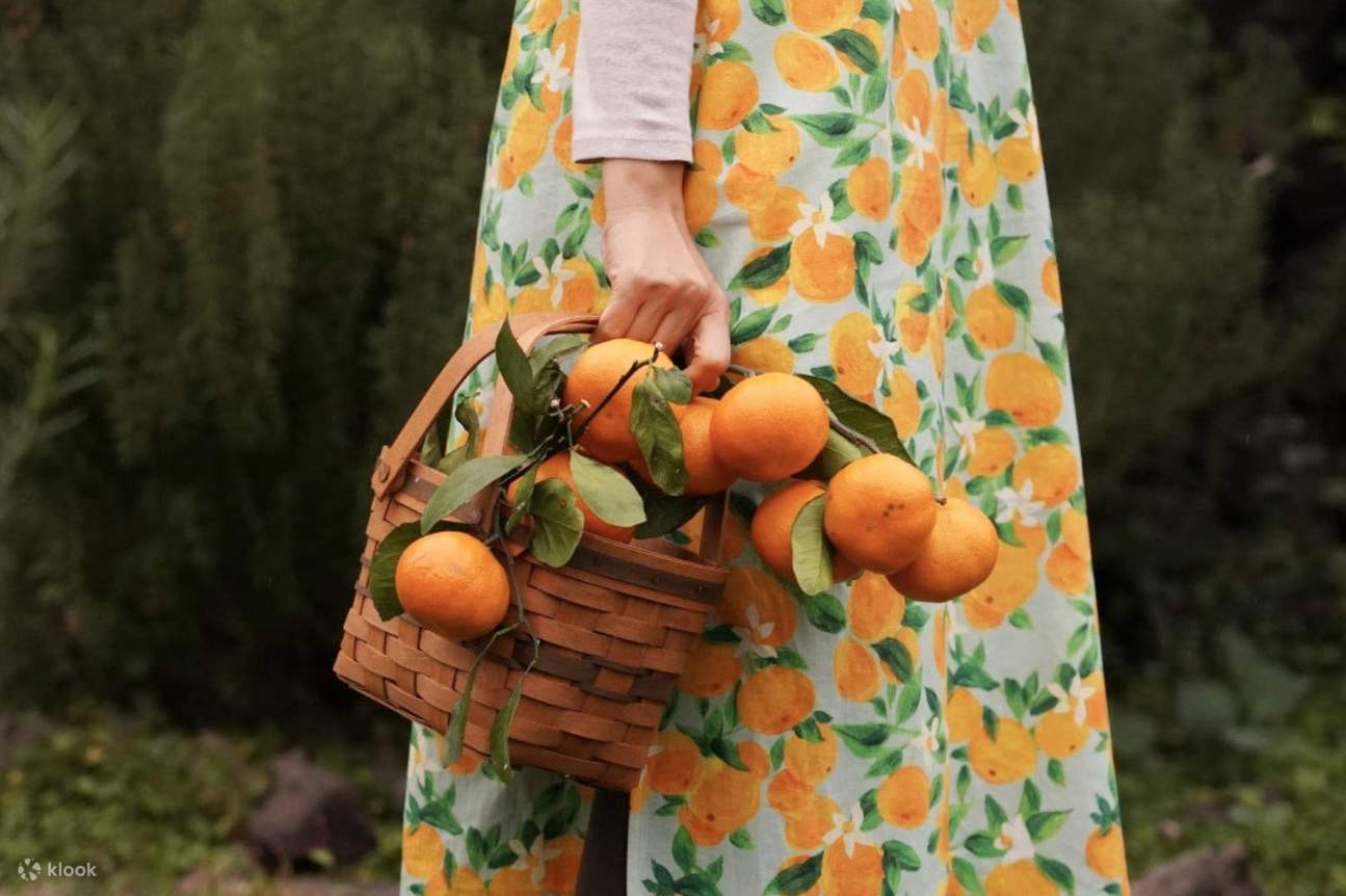 Di akhir perjalanan Anda, suvenir kecil yang terinspirasi dari buah jeruk mandarin menanti Anda. Suvenir ini membawa cahaya dan aroma Jeju, menjadi hadiah yang dapat Anda simpan dalam kehidupan sehari-hari.