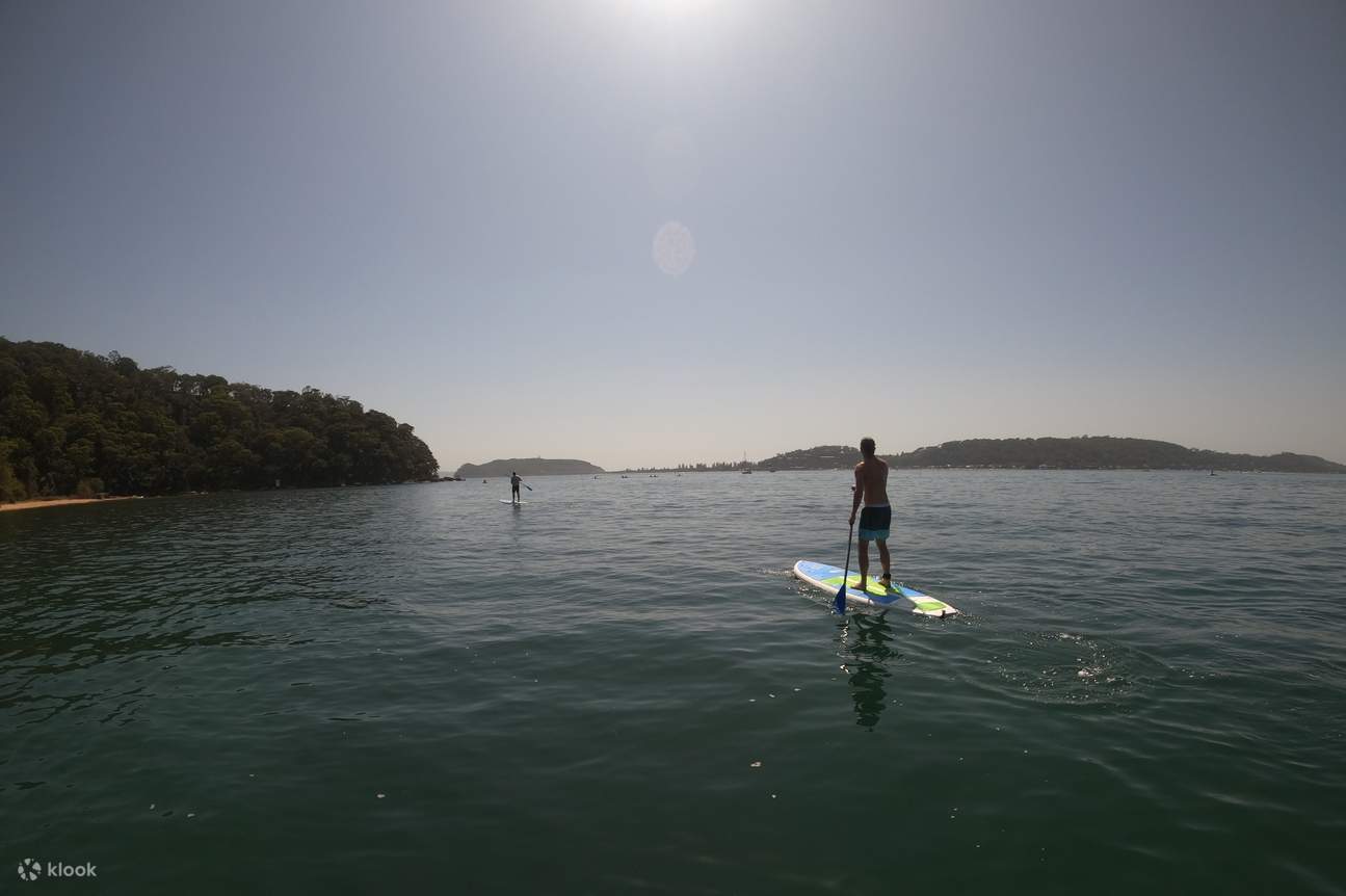 Stand Up Paddleboard Hire Rental in Basin Kuringgai Australia Klook