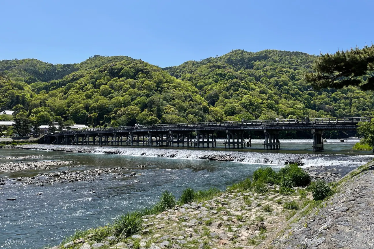 京都保津川游船体验