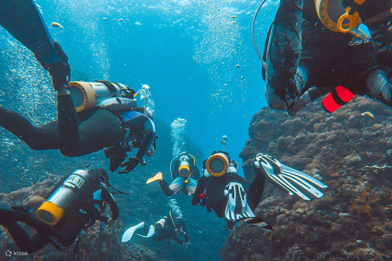 Explore the Beauty of Napaling Reef with an Scuba Diving