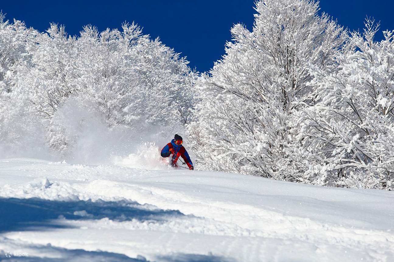 Maiko Snow Resort
