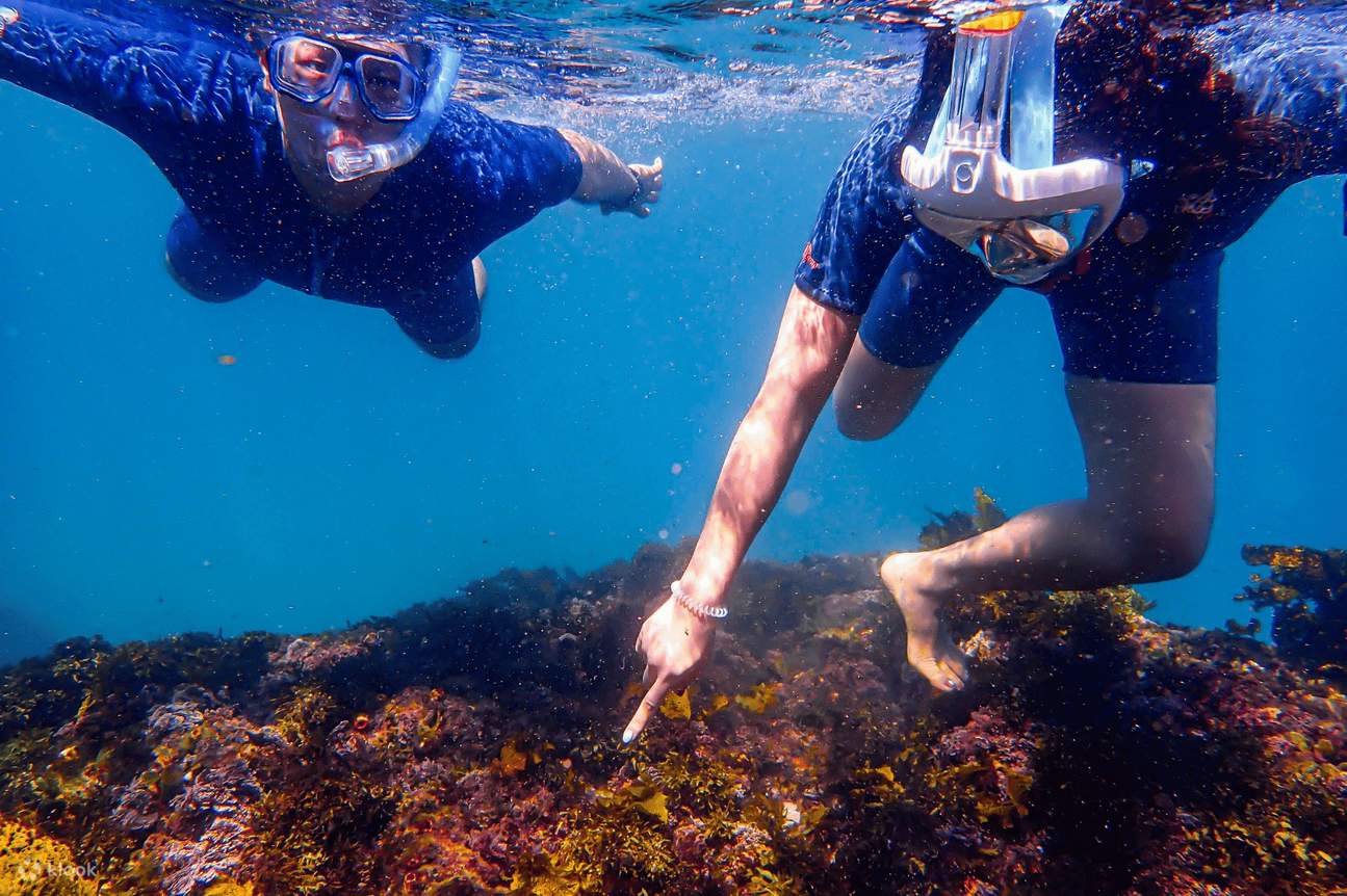 กิจกรรมดำน้ำตื้น