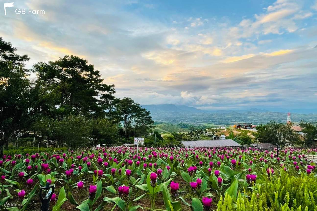 Tour privato in auto a Khao Kho di 3-5 giorni Da Bangkok con AK Travel