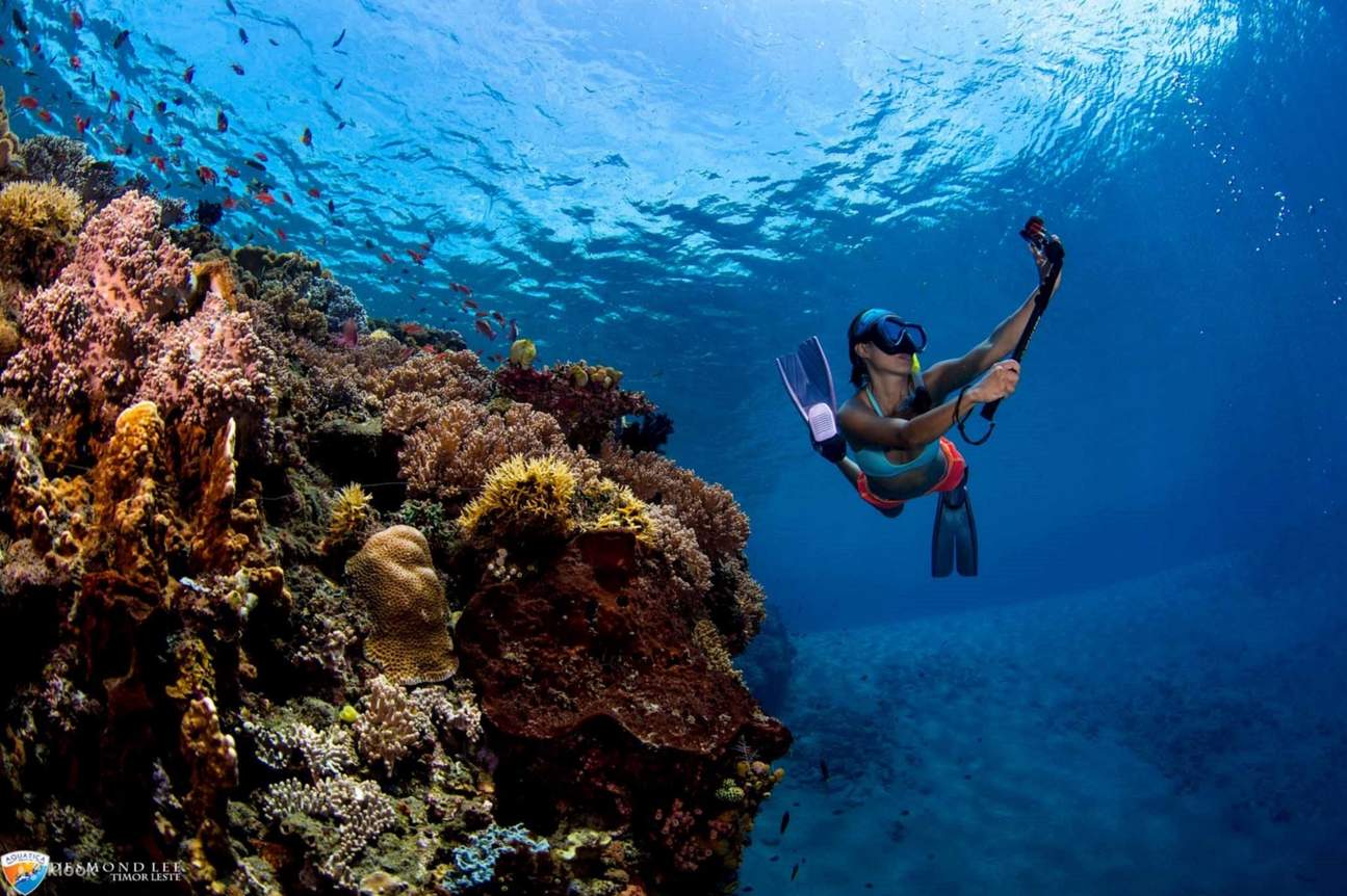 Professioneller Tauchboot-Ausflug mit Mittagessen & Transfer – Hurghada