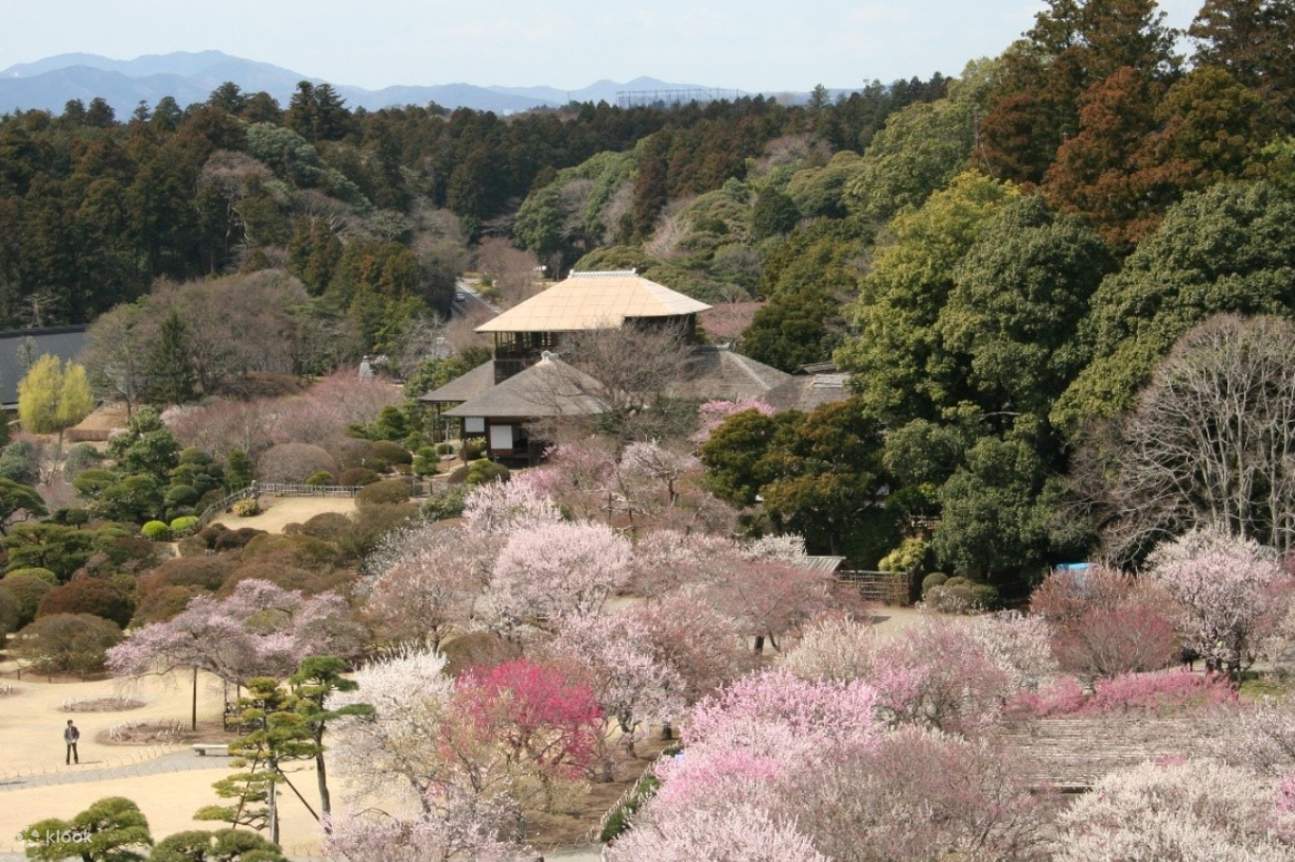 Billet d'entrée au jardin principal de Kairakuen (Ibaraki)