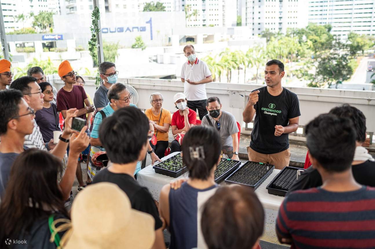 Trải nghiệm làm vườn trên sân thượng ở Singapore