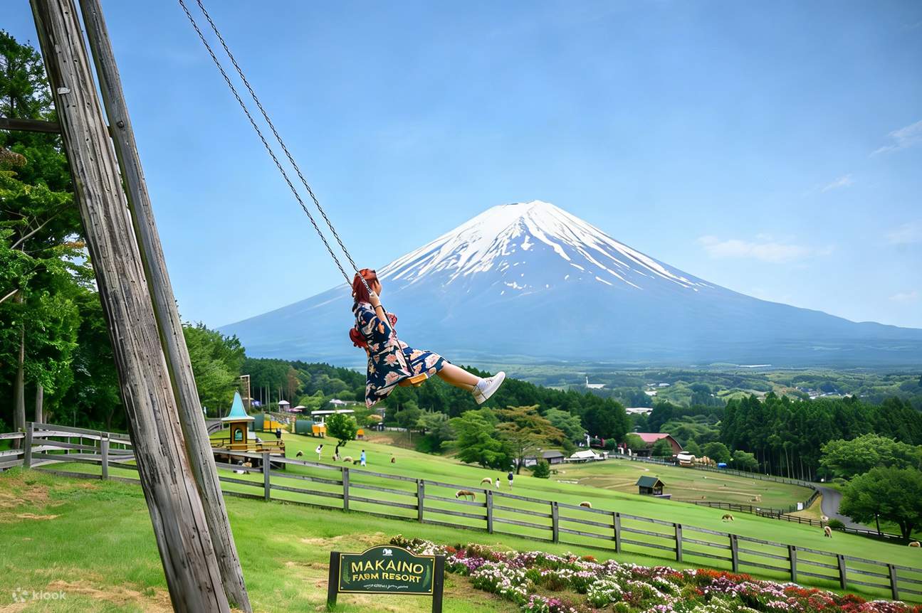 Mount Fuji Internet-Famous Attractions & Makaino Farm & Lake