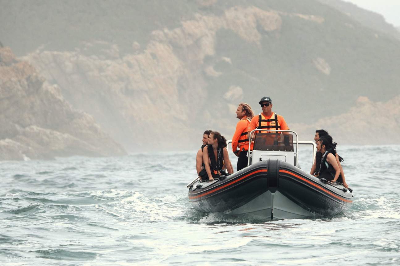 Swim with Seals or Seal Viewing Tour 