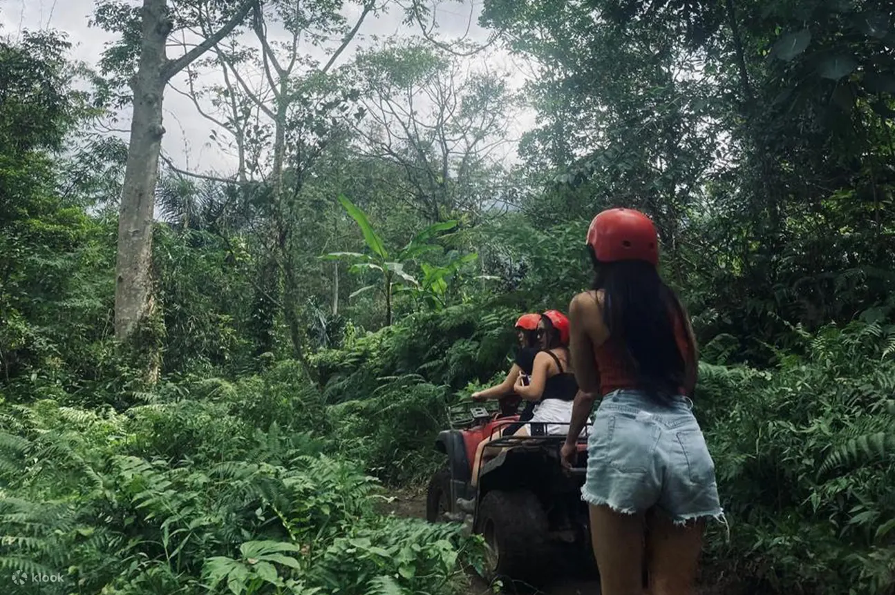 丛林 ATV 骑行 Jatiluwih 最佳套餐