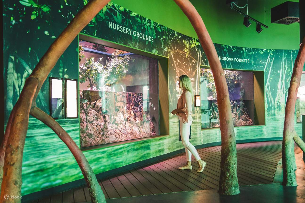 พิพิธภัณฑ์สัตว์น้ำแคนส์ - สถานที่เพาะพันธุ์สัตว์น้ำของพิพิธภัณฑ์สัตว์น้ำแคนส์