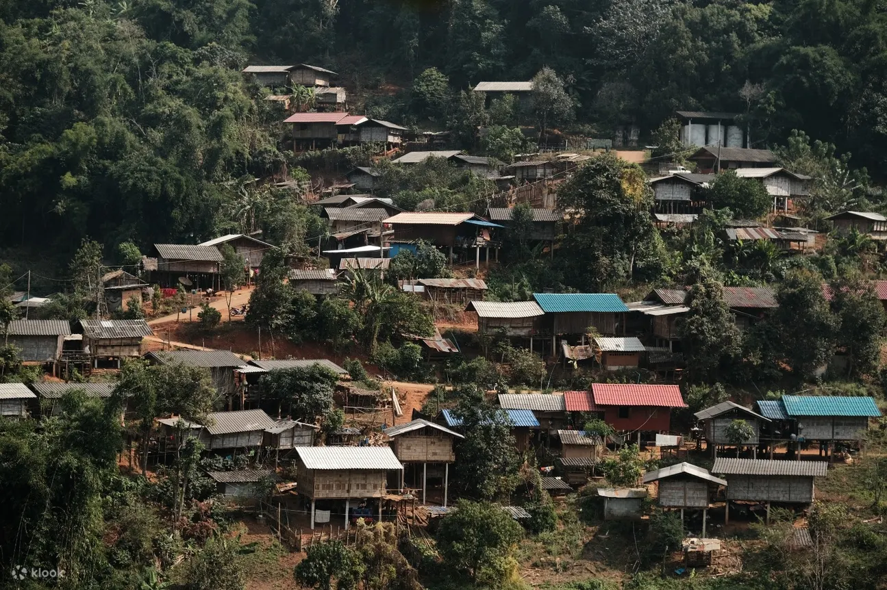 SuanLahu 有机咖啡农场及高地村体验
