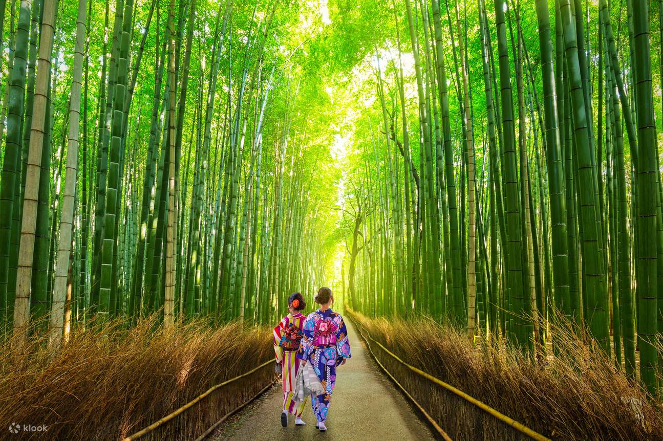 Kyoto: Sanzen-in & Kifune-Schrein & Arashiyama-Bambuswald & Bummelzug &  Togetsukyo-Brcke Tagestour (Abfahrt Osaka/Kyoto) - Klook Deutschland