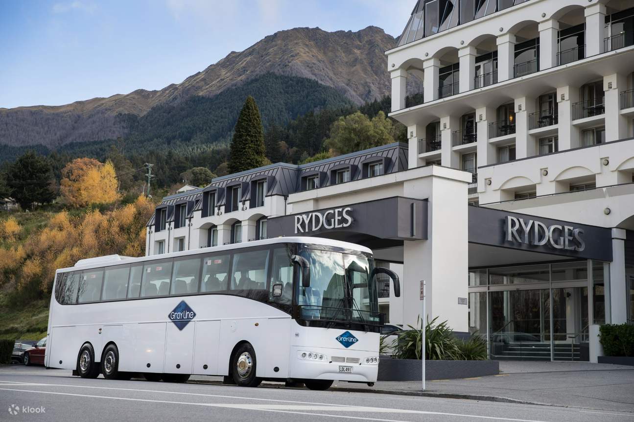 Bus Cook Mount Cook Day Tour between Queenstown and Christchurch - Klook The Bahamas